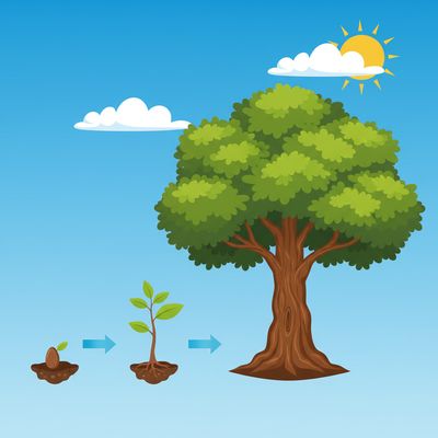 AI-generated image for SAT word acquisition