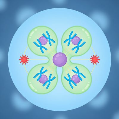 AI-generated image for SAT word grave